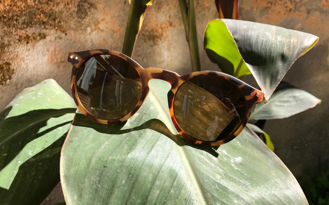 Nicetolook estrena gafas de sol para esta primavera!